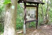 Hiwweltour Bismarckturm: Premiumwanderweg mit Blick auf Festungsgeschichte